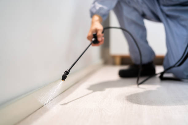 Certified termite inspector examining foundation in Saunders Lake